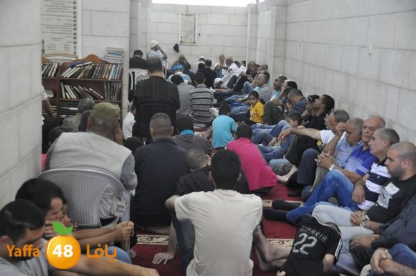 bazsalah lud 712 (62).JPG